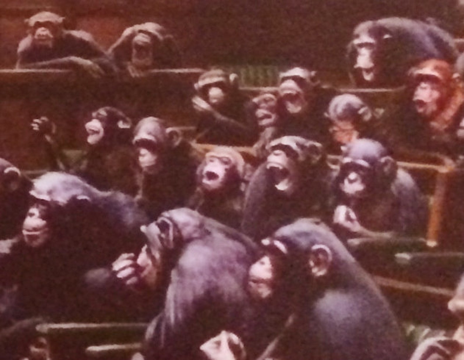 Banksy Parliament Monkeys Chimps House of Commons Politicians Etsy