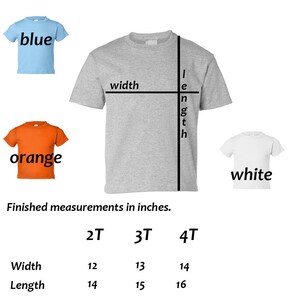 Pu&ograve; includere: Una maglietta grigio chiaro con misure in centimetri. La maglietta ha una larghezza di 30-36 cm e una lunghezza di 36-41 cm. Ci sono anche magliette blu, arancioni e bianche nell'immagine.