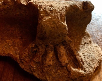 Mesoamérica prehistórica precolombina 1500-1000 aC Artefacto de antigüedad de arcilla primitiva. Exhibición Decorativa Coleccionable Raro. Con procedencia.