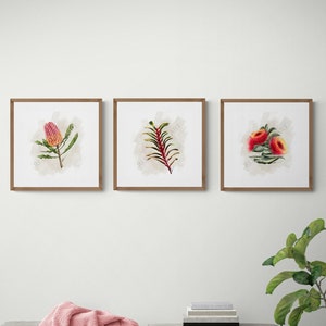 Australian Native Flora - Set of three prints by Australian artist Reeve King