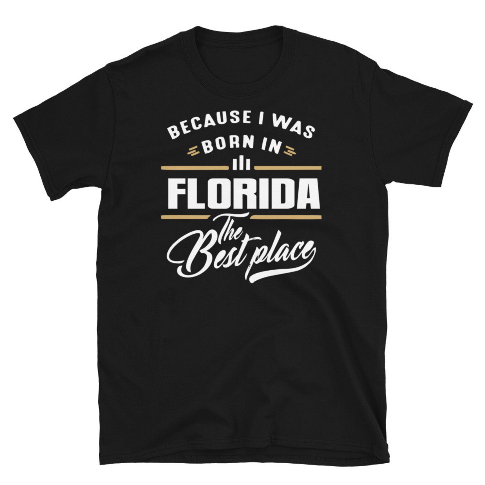 Florida T shirt Florida State Shirt Usa Florida Tee Etsy