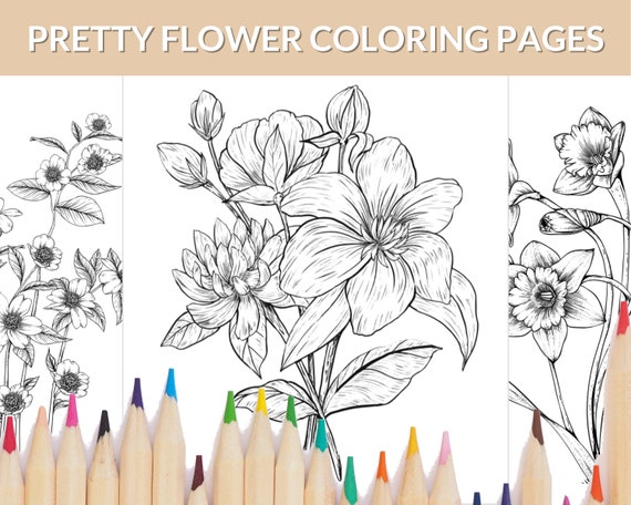 Pretty Flower Themed Coloring Pages 23 Printable Coloring - Etsy