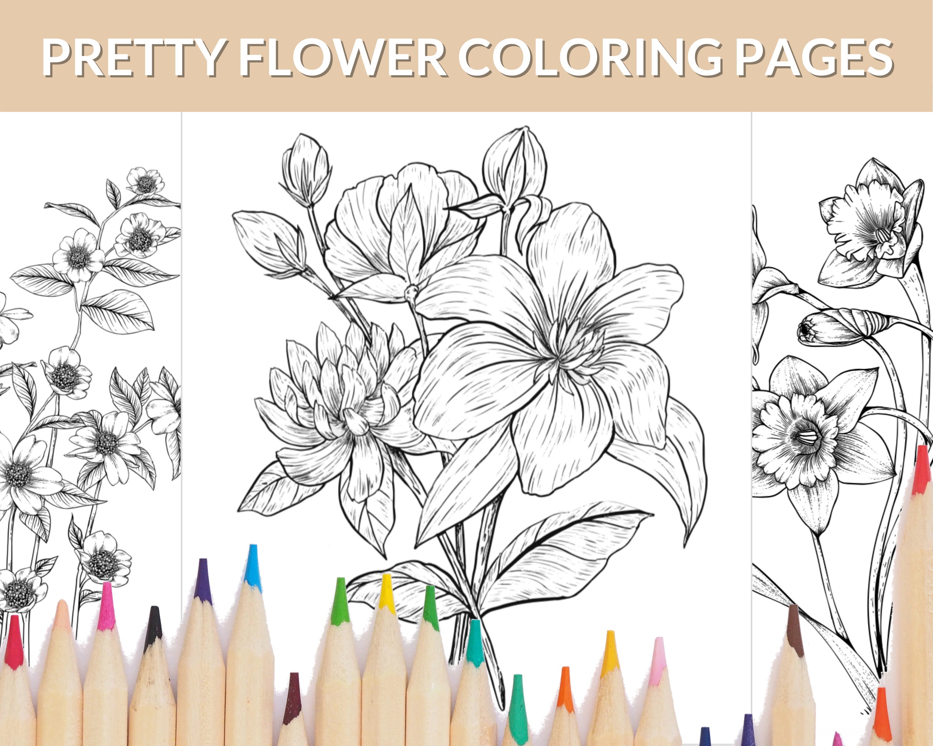 pretty flower themed coloring pages 23 printable coloring etsy israel