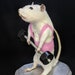 see more listings in the Arte taxidermia (mesa) section