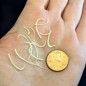 May include: A close-up of a hand with a small pile of white, string-like objects on it. A 2020 US penny is resting on the hand, near the pile of white strings.