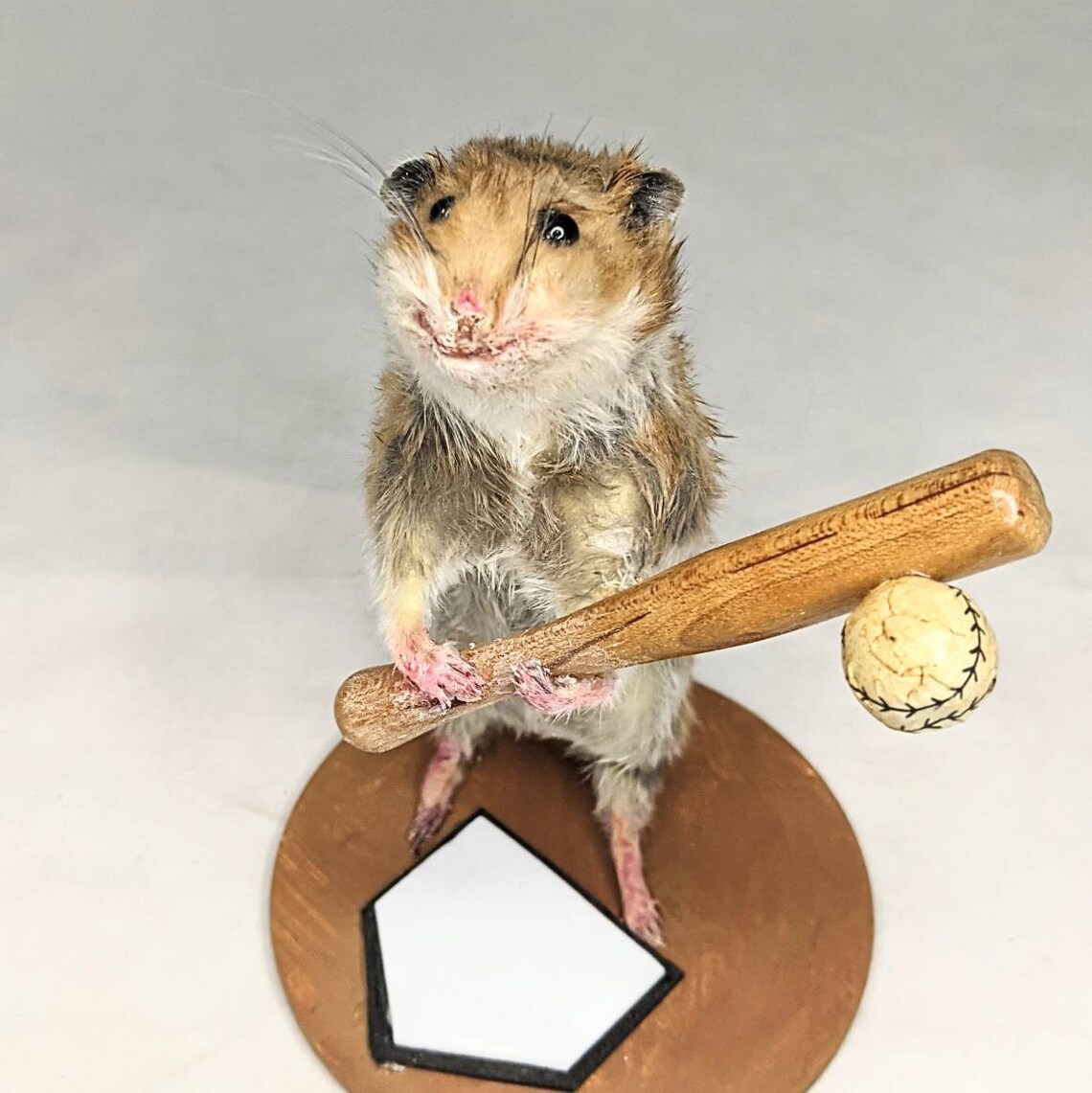 Taxidermy Hamster Playing Baseball. Happy Hamster Standing at Etsy