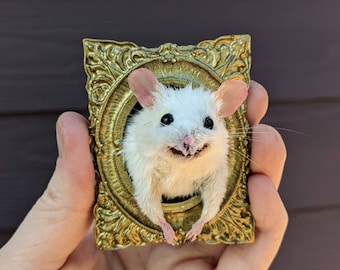 Taxidermy Mouse Head Mount Trophy Tiny Mouse Magnetic Victorian