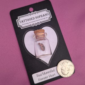 May include: A small clear glass vial with a cork stopper containing a mummified hamster heart, mounted on a black display card labelled TATTOOED SOPRANO and Real Mummified Hamster Heart, positioned next to a US quarter for scale reference.