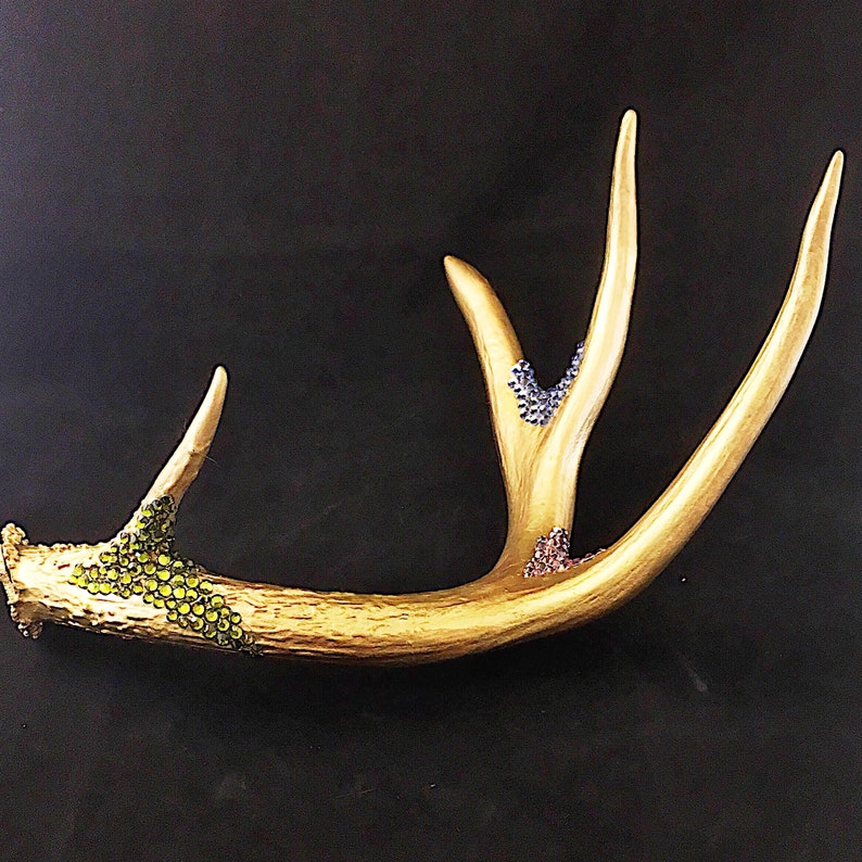 Deer antler shed real deer antler with real Swarovski crystal Etsy