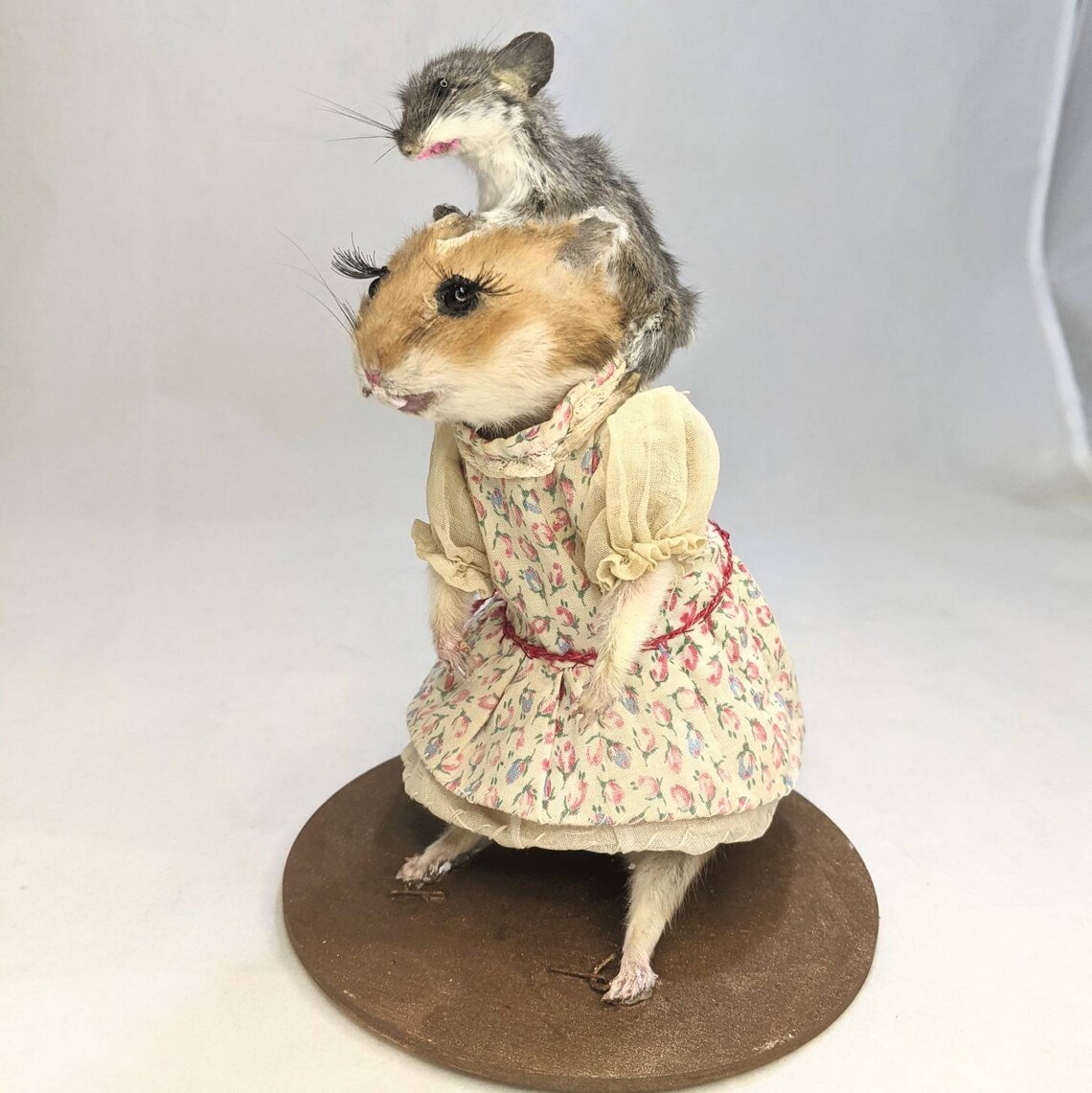 Taxidermy Hamster and Mouse. Hamster Mom with Baby Mouse Etsy