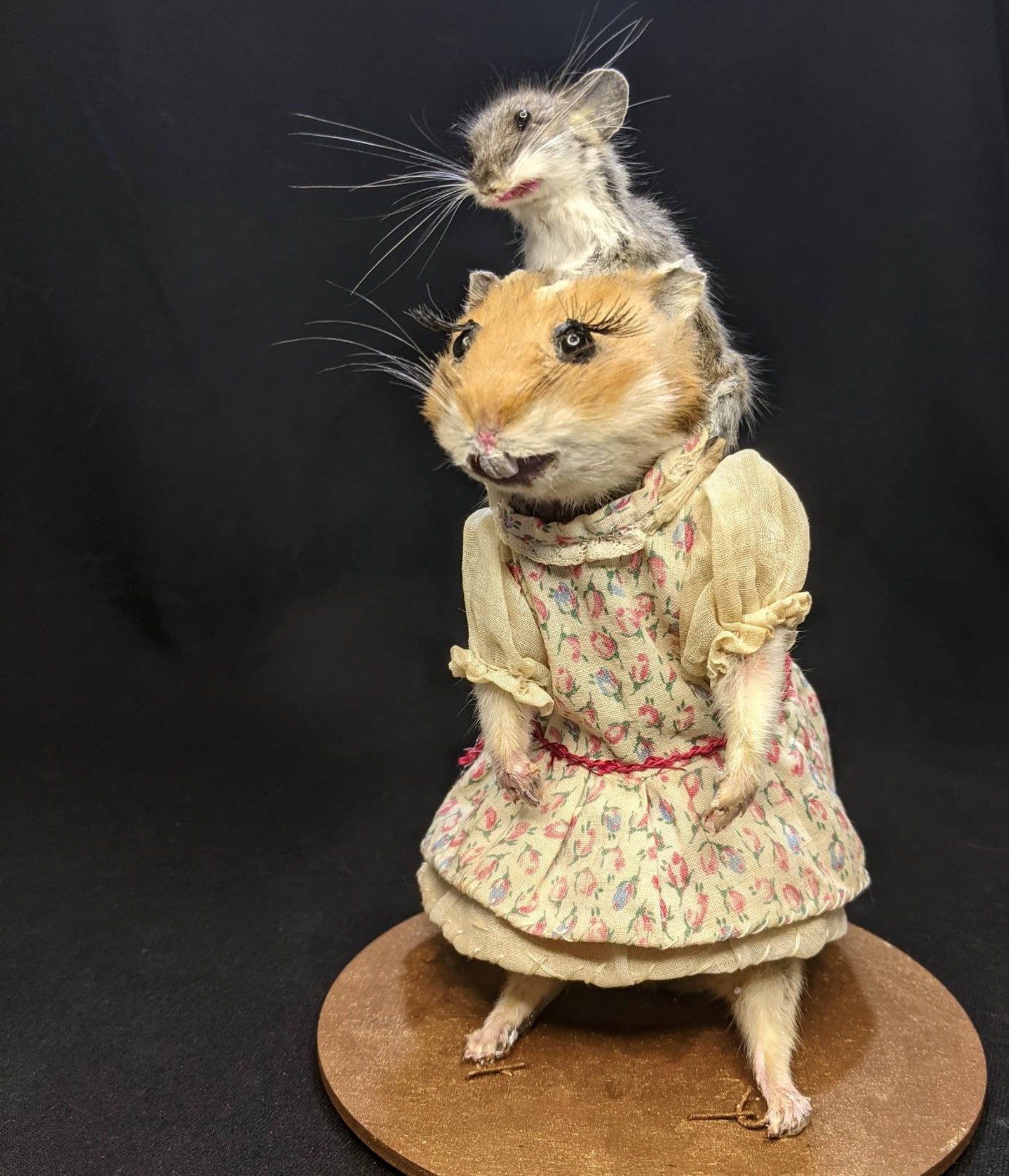 Taxidermy Hamster and Mouse. Hamster Mom with Baby Mouse Etsy