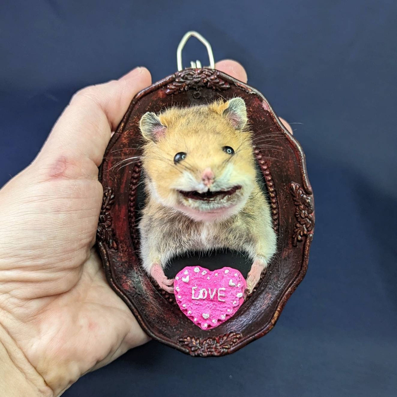 Hamster Taxidermy Small Wall Mounted Taxidermy Piece 3D Etsy