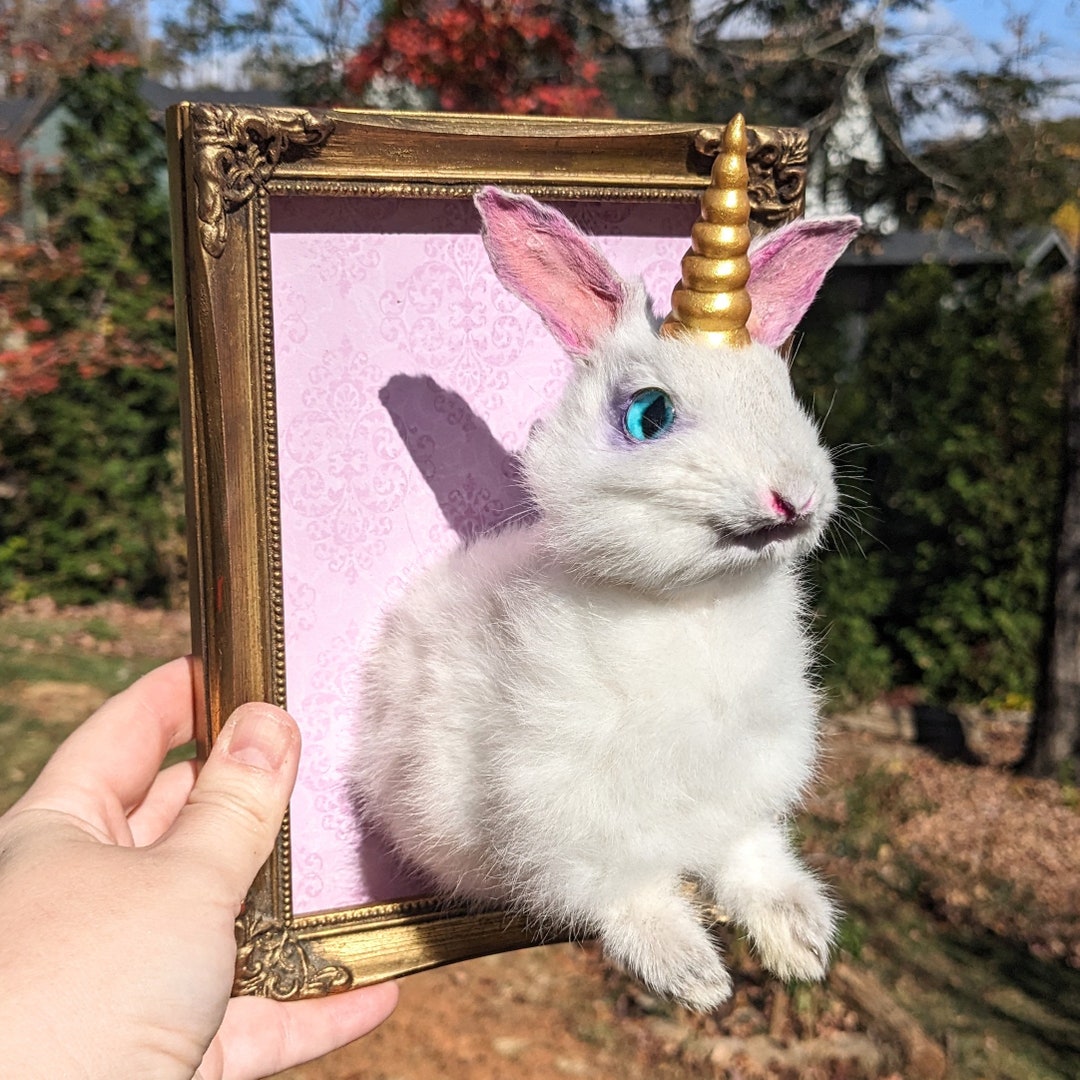 Taxidermy Rabbit Wall Mount Fantasy Bunnicorn Unicorn Rabbit Etsy