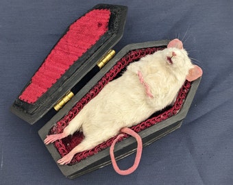 Mouse Taxidermy Anthropomorphic Mouse Inside Miniature Coffin Creepy Cute Morbid Gag Taxidermy Oddities