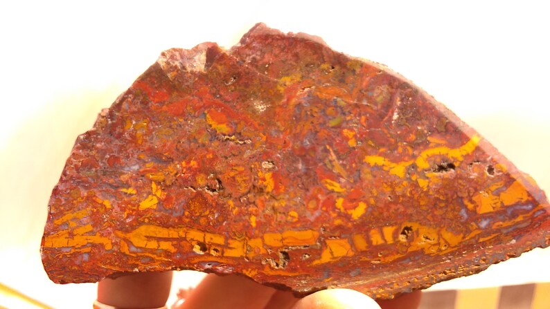 Red Jasper Jasper Slice JAS001 Red Jasper Chalcedony from Hungary Lapidary Material Polished Specimen Jasper Chalcedony