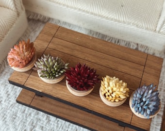 Dollhouse decor,Miniature succulent plant, dollhouse greenery, dollhouse plants, 1:12 scale