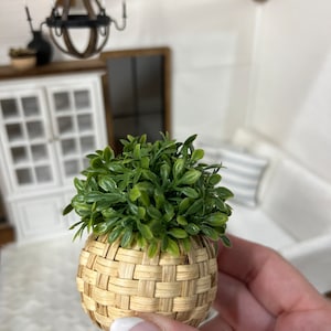 Dollhouse plant in wicker holder