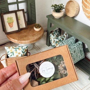 May include: A miniature scene with a brown cardboard box containing small plants and a clear window. The box is held in front of a miniature room with a green bench, pillows, and framed pictures. The logo on the box reads "Tiny Trimmings."