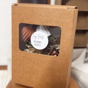 May include: A brown cardboard box with a clear window displaying miniature DIY plants. The box is labeled "Tiny Roots" and "DIY Plants Set of 6". The box sits on a wooden base.