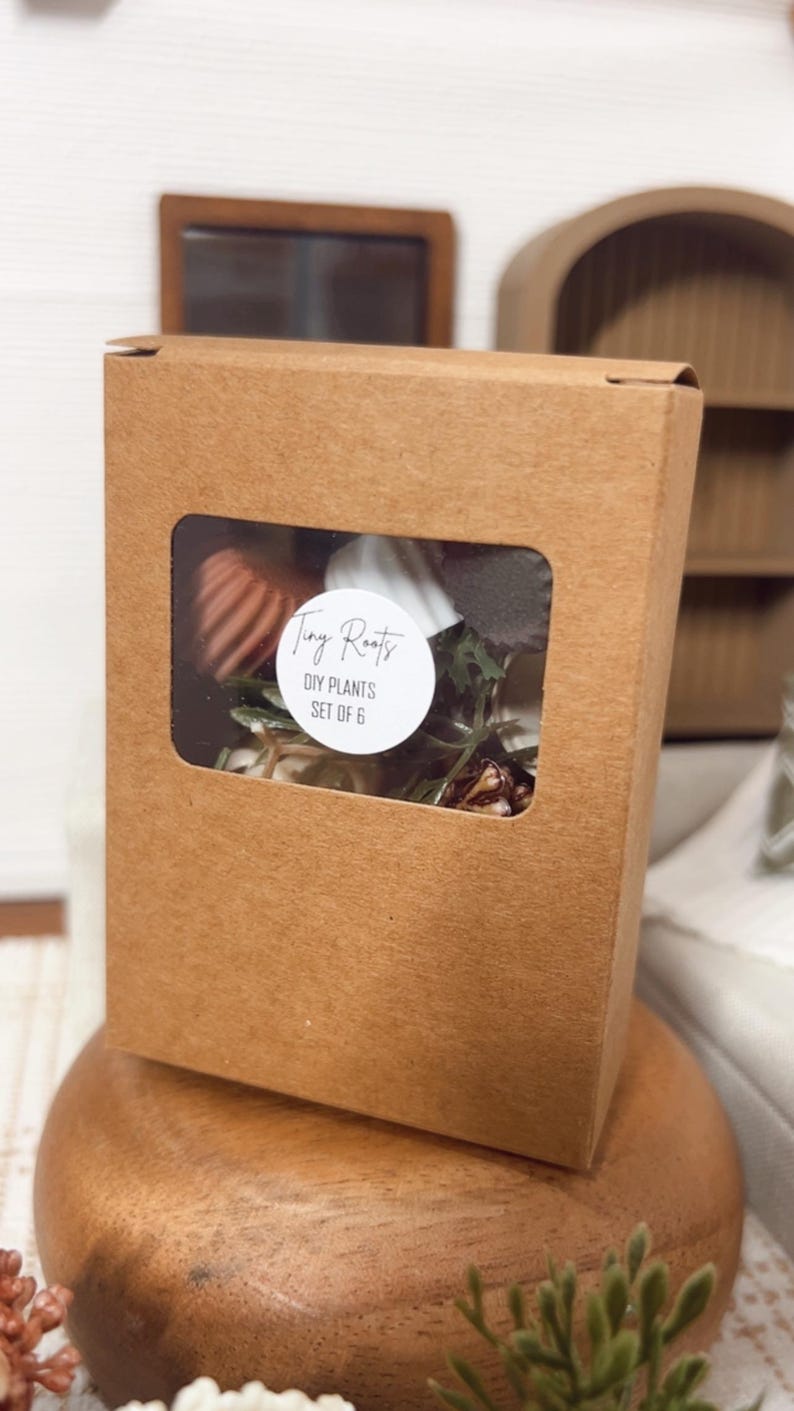 May include: A brown cardboard box with a clear window displaying miniature DIY plants. The box is labeled "Tiny Roots" and "DIY Plants Set of 6". The box sits on a wooden base.