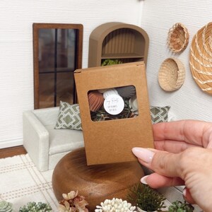 May include: A miniature diorama scene featuring a brown cardboard box with a clear window, containing small decorative items. The box is held in front of a miniature room with a sofa, window, and decorative plants. The box has the text "DIY Plants Set of 6".