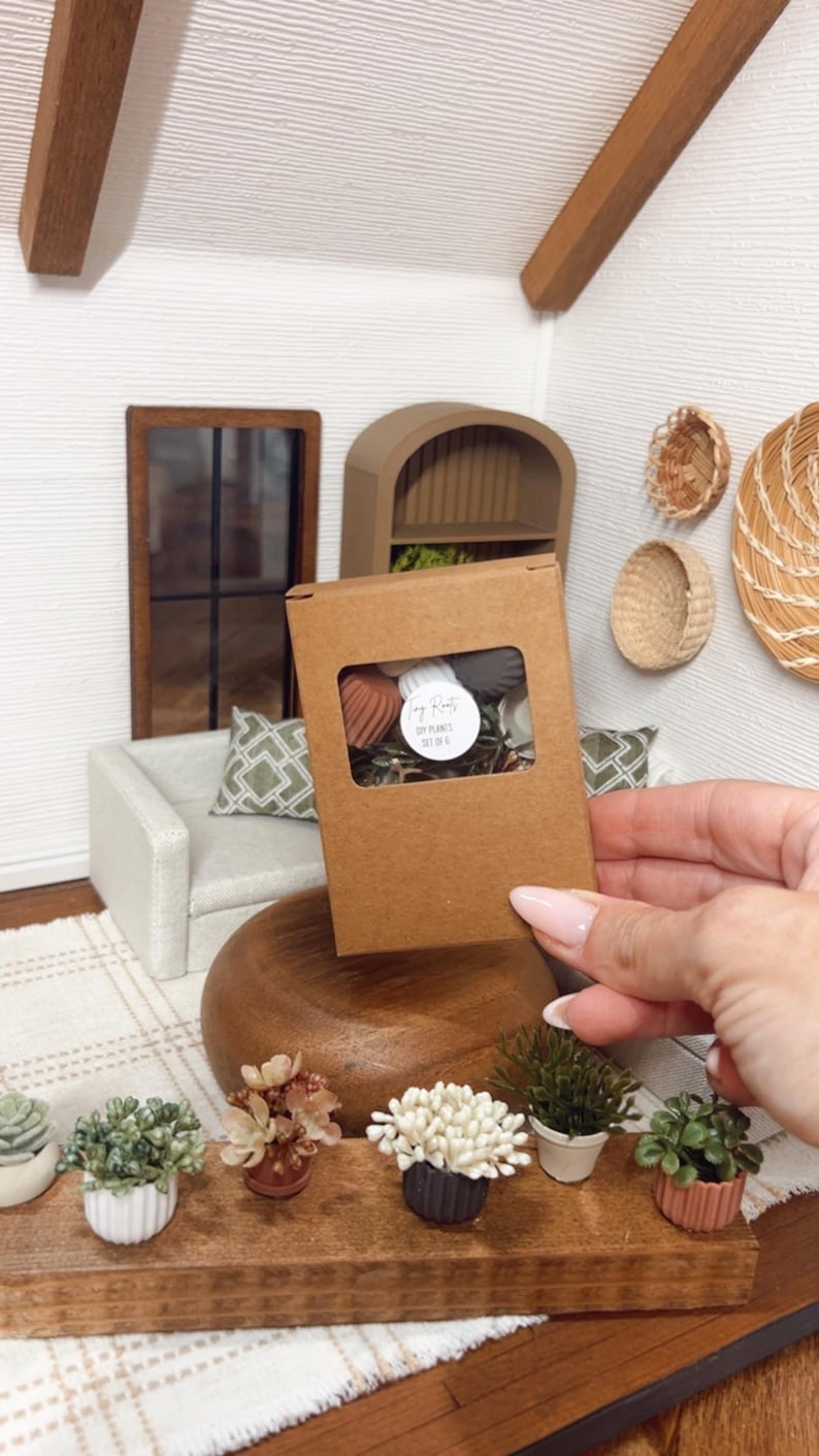May include: A miniature diorama scene featuring a brown cardboard box with a clear window, containing small decorative items. The box is held in front of a miniature room with a sofa, window, and decorative plants. The box has the text "DIY Plants Set of 6".
