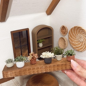 May include: Miniature dollhouse interior with a wooden shelf displaying small potted plants. A brown arched bookshelf, a window, and woven wall decor are also visible. The scene is set in a miniature room with a wooden stool.