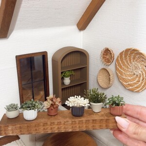 May include: Miniature dollhouse interior with a wooden shelf displaying small potted plants and decorative items. A brown arched bookshelf and a framed mirror are also present. The scene is set against a white textured wall, with wooden beams overhead.