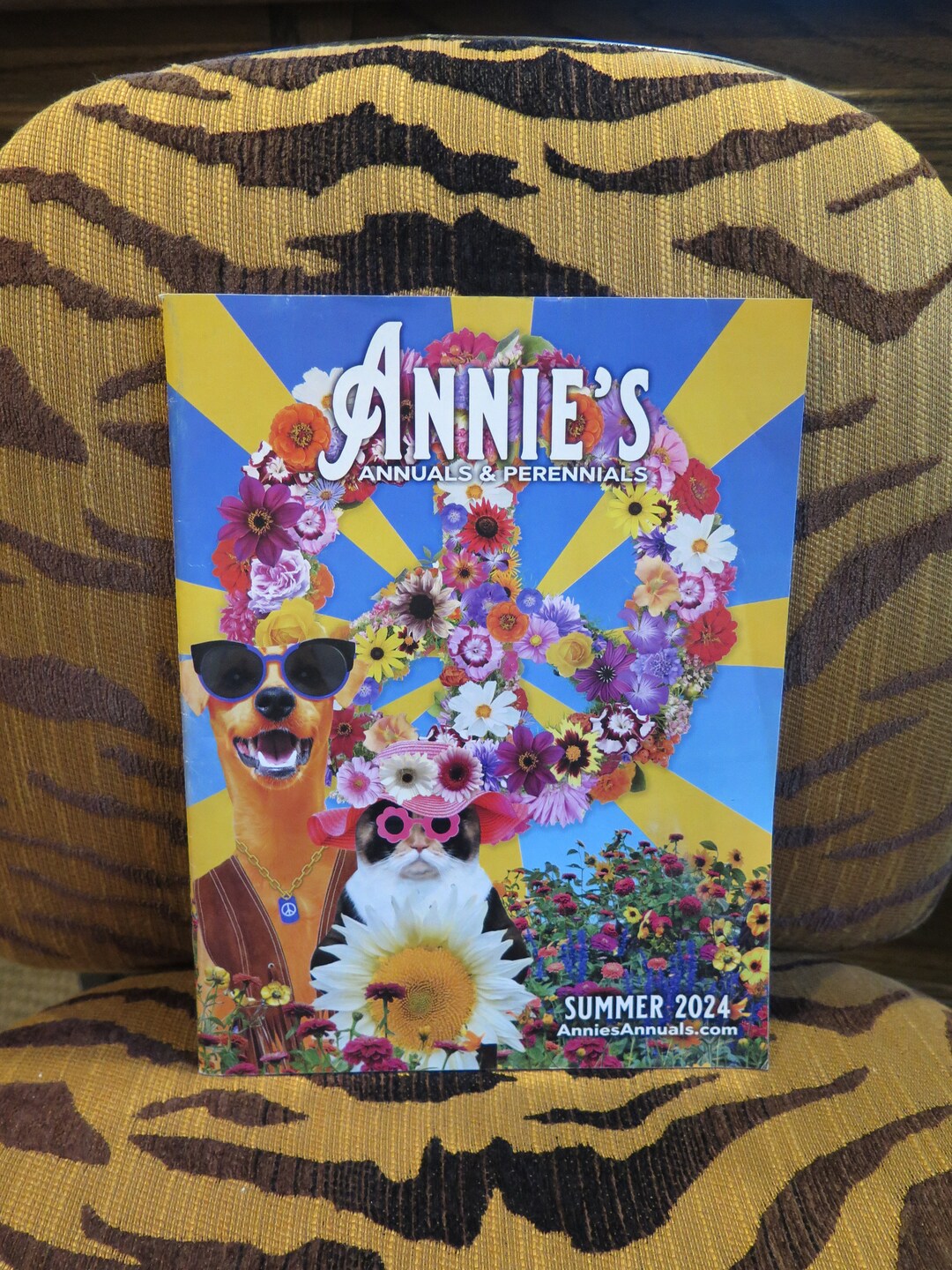 Flowers Annuals & Perennials Annies Summer 2024 Catalog Natives Drought