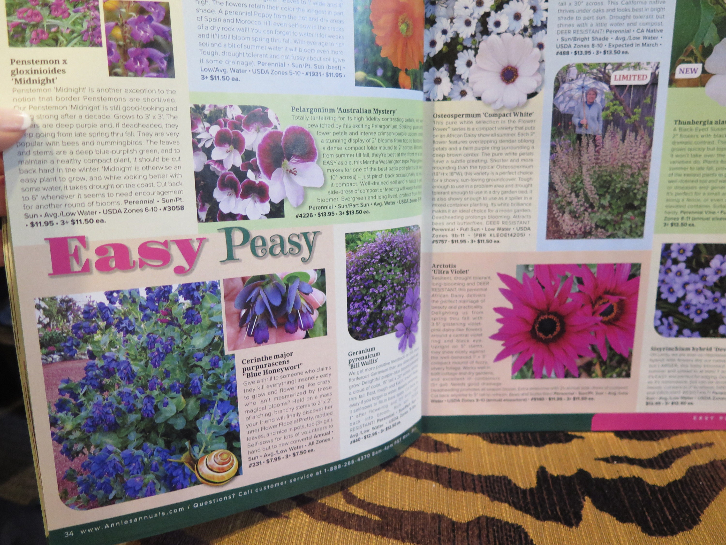 Flowers Annuals & Perennials Annies Summer 2024 Catalog Natives Drought