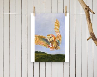 Barn Owl Print