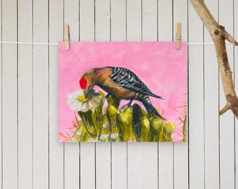 Gila Woodpecker Print