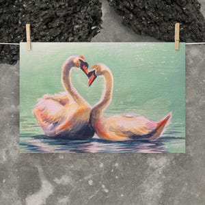 Swan Print