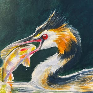 Great Crested Grebe 26 Original Painting