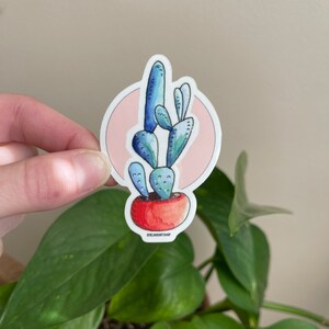 Puede incluir: Una planta de cactus azul y verde en una maceta roja con un fondo rosa. La pegatina tiene el texto "ofloverartshop" en la parte inferior.