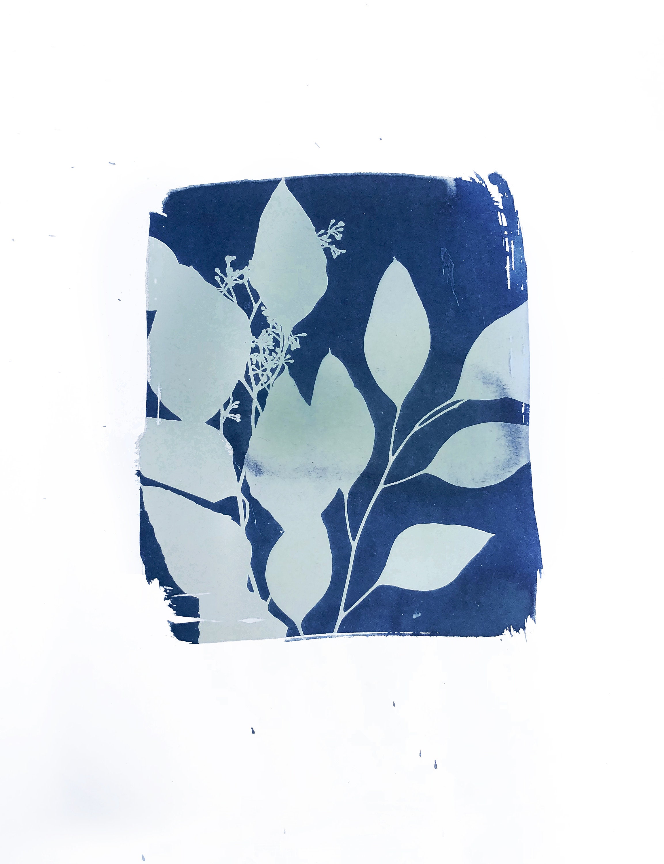 Indigo print, indigo sunprint, sun print, blue indigo painting ...