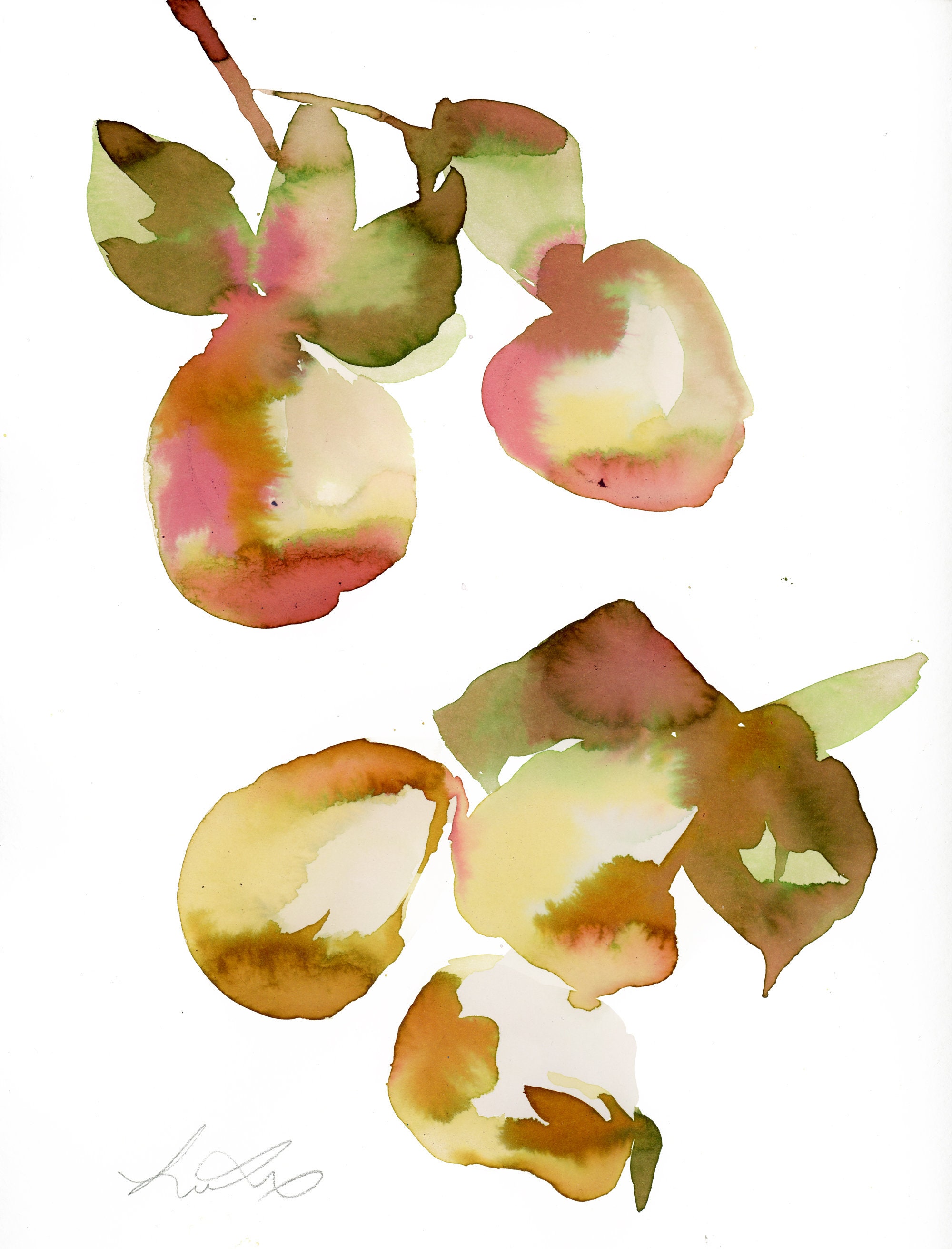 Fruit painting, fruit watercolors, watercolor oranges, watercolor fruit ...