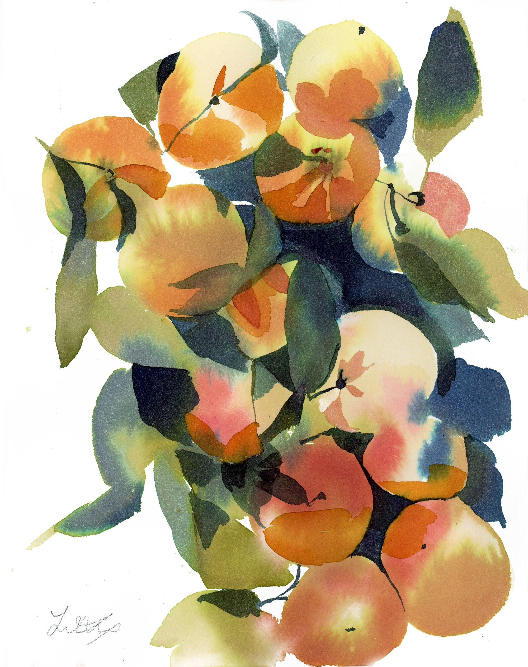 Fruit Painting Fruit Watercolors Watercolor Oranges Etsy