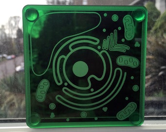 Cell Coaster: Plant Cell with accurate parts & organelles || Customize your gift for teachers, biologists, students! || laser-cut acrylic