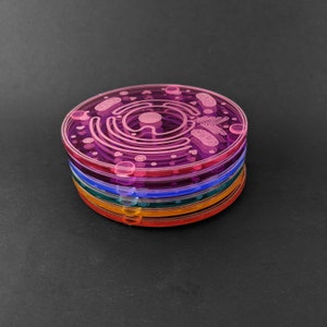 Cell Coaster: Eukaryote with accurate parts & organelles Customize your gift for teachers, biologists, students laser-cut acrylic image 8