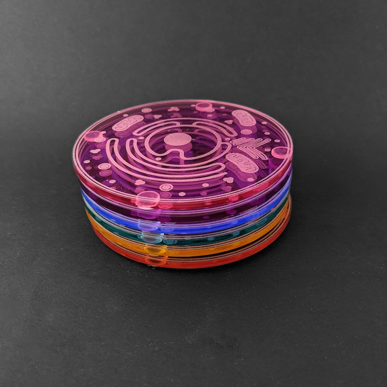 Cell Coaster: Eukaryote with accurate parts & organelles Customize your gift for teachers, biologists, students laser-cut acrylic image 8