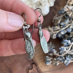 May include: A pair of silver-toned earrings featuring a unique design. Each earring showcases a detailed, textured seed pod shape, suspended from a simple hook with a small gold-colored bead accent. The earrings are held against a soft, blurred background.