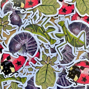 BUGS - vinyl sticker pack