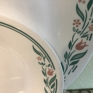 May include: White ceramic plates with a green border and floral design. The plates feature a pattern of green leaves, small brown flowers, and a reddish-brown tulip. The plates are stacked, showing the details of the design.