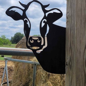 Peek a Boo Cow or Goat  15" x 14" Metal Art Made in Waco, TX