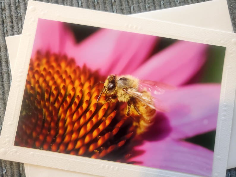 Handmade Bee Photography Greeting Cards, Embossed Border, Blank Inside ...