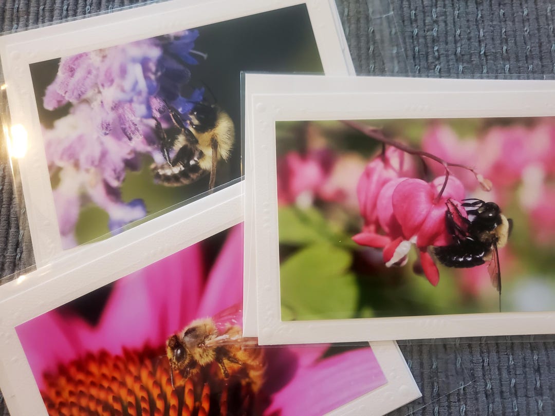 Handmade Bee Photography Greeting Cards, Embossed Border, Blank Inside ...