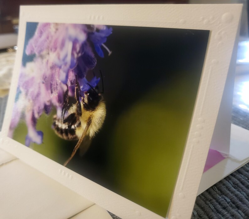 Handmade Bee Photography Greeting Cards, Embossed Border, Blank Inside ...
