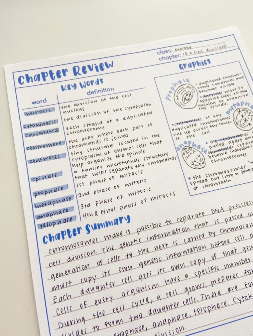 PRINTABLE Student Review Templates, Homeschool Printable, Chapter PRINTABLE Student Review Templates, Homeschool Printable, Chapter