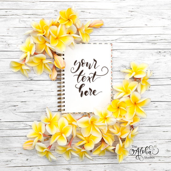 Tropical Plumeria Flatlay Frangipani Yellow Flowers Journal Mockup